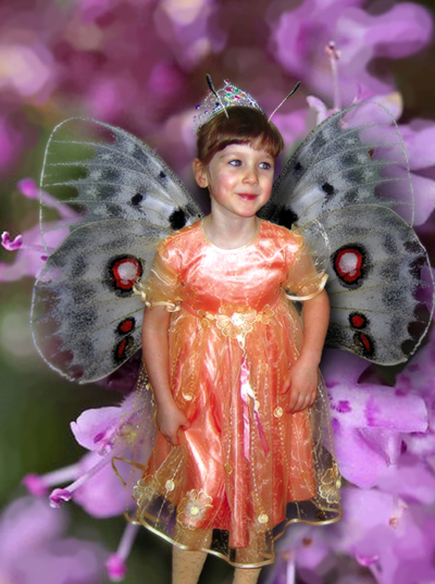 How to Make a Fairy Collage Tutorial: Final Result